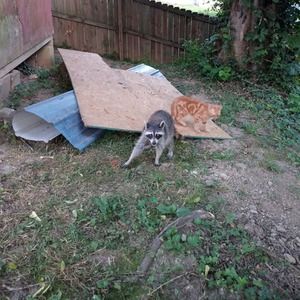 Meet your Posher, Robert